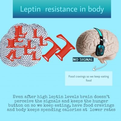 Leptin resistance